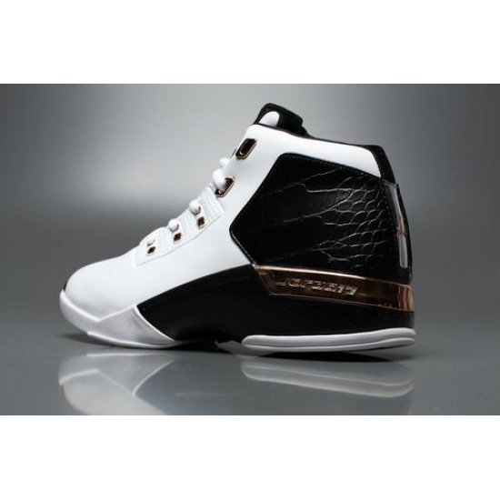Air Jordan 17+ “Copper”-1