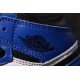 Air Jordan I (1) top  Kids blue